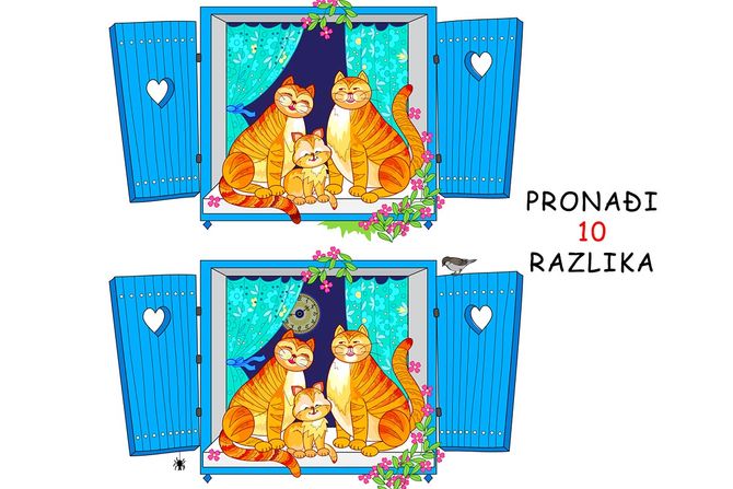 Skrivalica mačke Skrivalica mačke