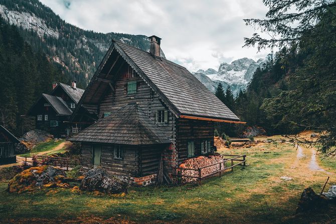 Vikendica, šuma