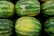 Kucanje je najveća greška pri kupovini lubenice: Ove 2 šare otkrivaju da li je slatka, zrela i puna soka