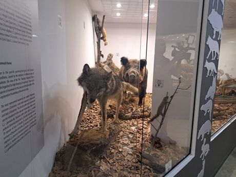 Nacionalni park Đerdap