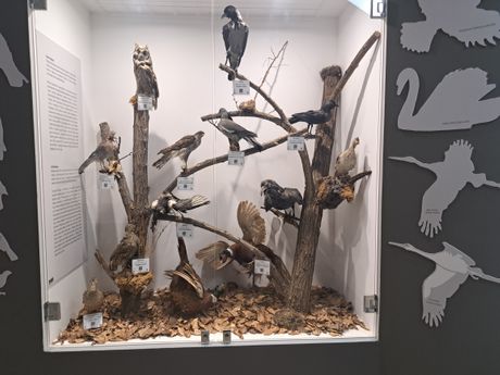 Nacionalni park Đerdap