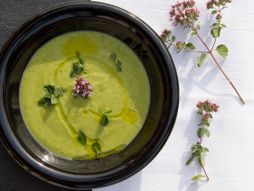 potaž, tikvice, potaž od tikvica