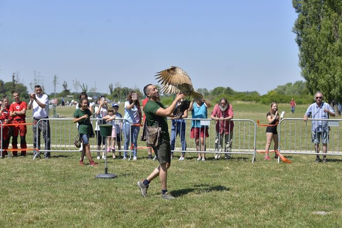 Trofej Vidovdana