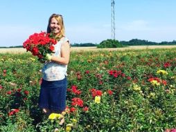 ruže, cveće, festival cveća, Lipolist