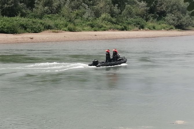 Drina, ronioci