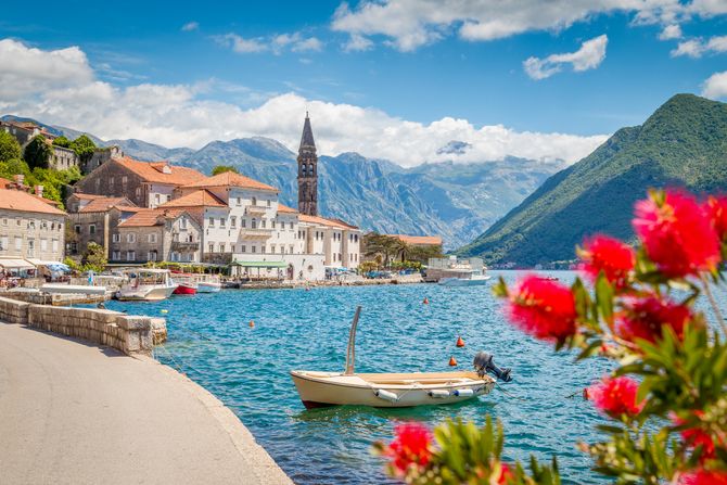 Kotor Kotor
