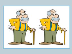 Mozgalica test skrivalica