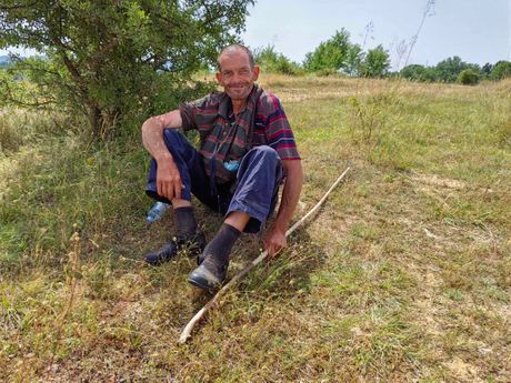 Ovčar Stojan iz Makedonije došao u Srbiju