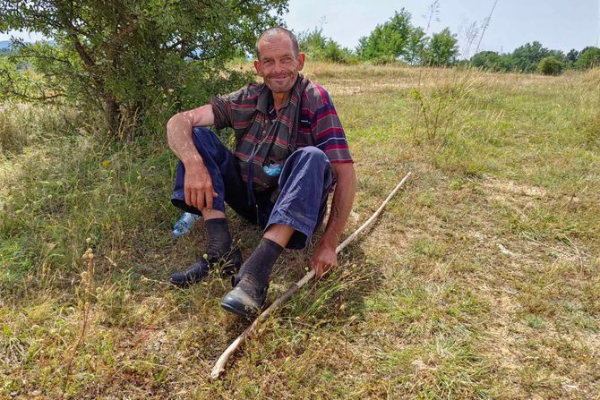 Ovčar Stojan iz Makedonije došao u Srbiju