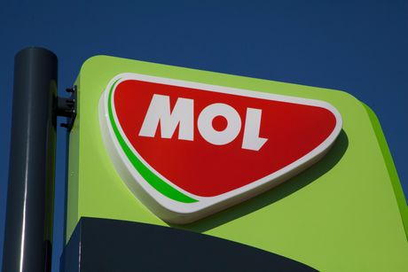 mol grupa