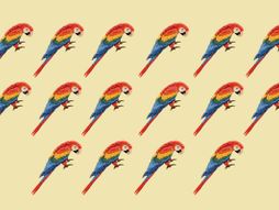 Mozgalica skrivalica test