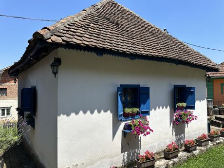 porodica Drndarević iz sela Zlakusa porodica Drndarević iz sela Zlakusa