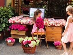 Aranžman od hiljadu ruža najlepši na festivalu cveća u Lipolistu
