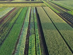 Poljoprivredni zemljište, poljoprivreda