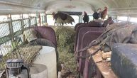 Zaustavili autobus pun životinja: Unutra se dešavalo nešto UŽASNO, policija zanemela od šoka