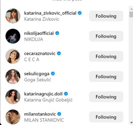 Ana Nikolić, Ceca Ražnatović