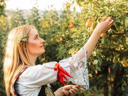 Devojka u narodnoj nošnji Srbije