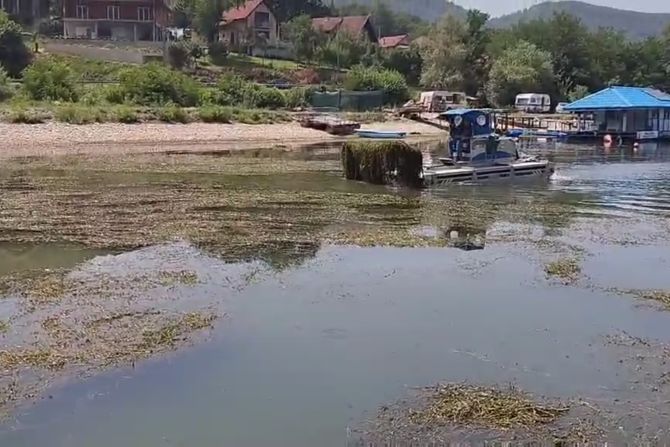 Mali Zvornik, jezero