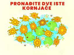 Skrivalica test mozgalica