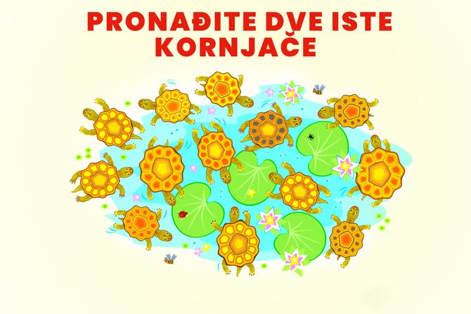 Skrivalica test mozgalica Skrivalica test mozgalica