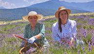 Majka i ćerka na jugu Srbije posadile raj lekovitog bilja: Njihova plantaža se prostire na 10 hektara