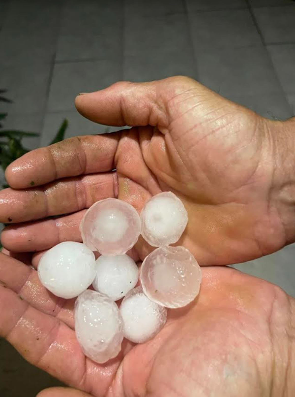 Padao grad veličine oraha: Led olupao voćnjake, oštećeni putevi