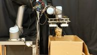 Upoznajte robota koji umesto vas pakuje namirnice: Pogledajte na koji način odlaže grožđe u kutiju