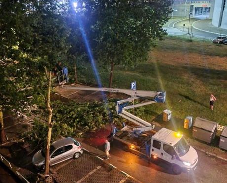 Beograd nevreme intervencije palo drvo