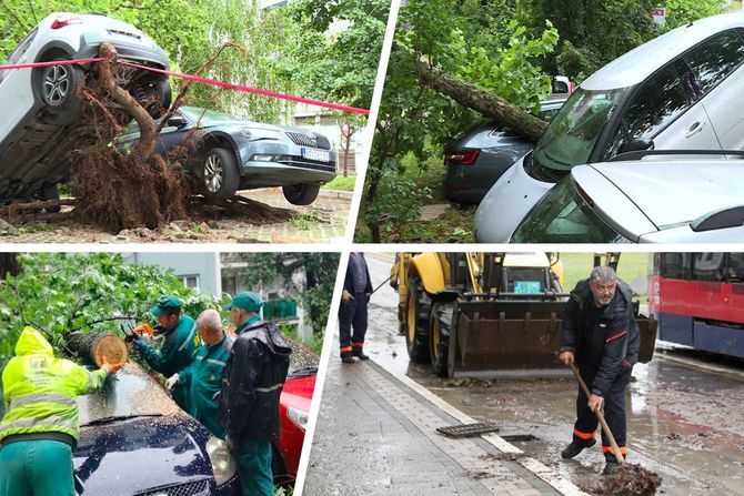 Beograd nevreme intervencije palo drvo