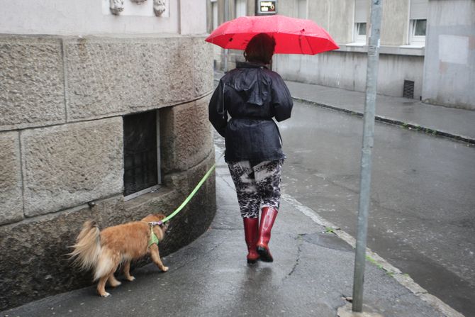 BEOGRAD VREME ULICE BEOGRAD VREME ULICE