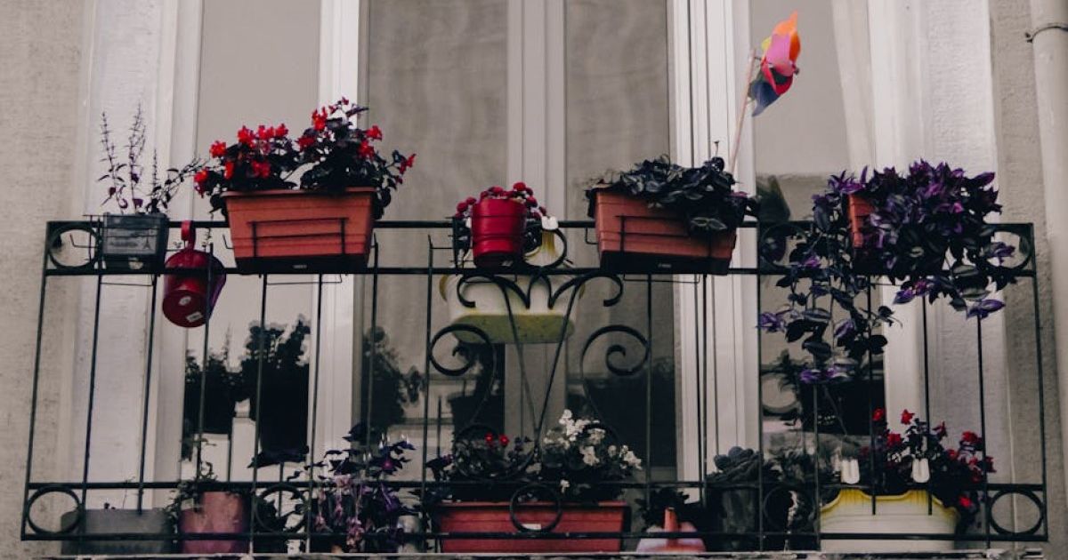 Biljke će dobiti jaču boju i cvetaće kao lude ako im dodate ovaj sastojak: Rezultati su neverovatni