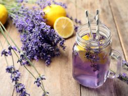 limunada, lavanda, limunada sa lavandom