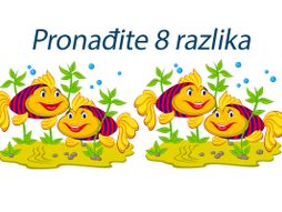 Skrivalica test  razlike