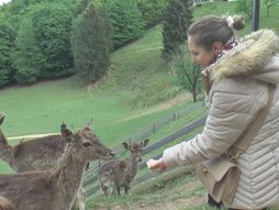 Slovenija, Olimje najlepše selo u Evropi, Jelenov greben atrakcija