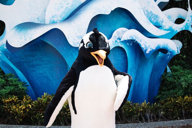 kostim pingvina kostim pingvina