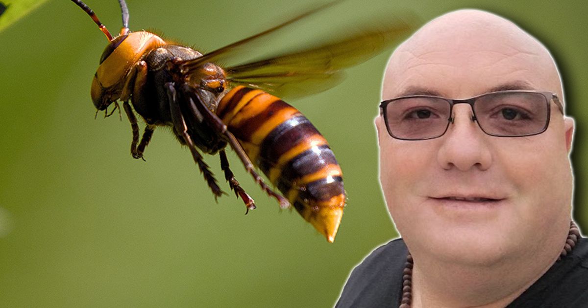 Vladica stigao do Sokobanje da "reši" opasne insekte, pa se popeo na krov: "Ludilo!"