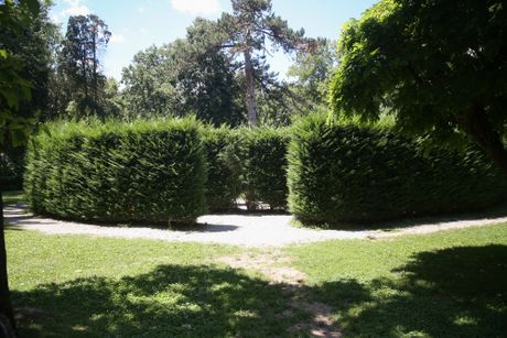 Lavirint od žive ograde, Park Vrnjačka banja