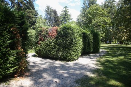 Lavirint od žive ograde, Park Vrnjačka banja