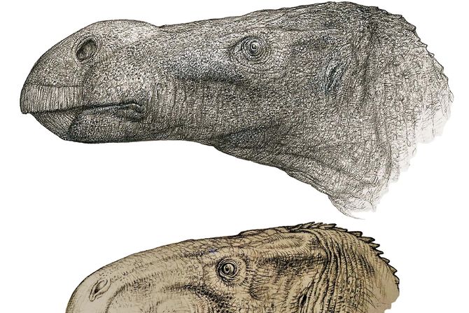 Dinosaurus Dinosaurus