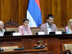Miroslav Trajanović, Ana Brnabić, Stefan Badža