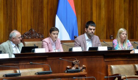 Miroslav Trajanović, Ana Brnabić, Stefan Badža