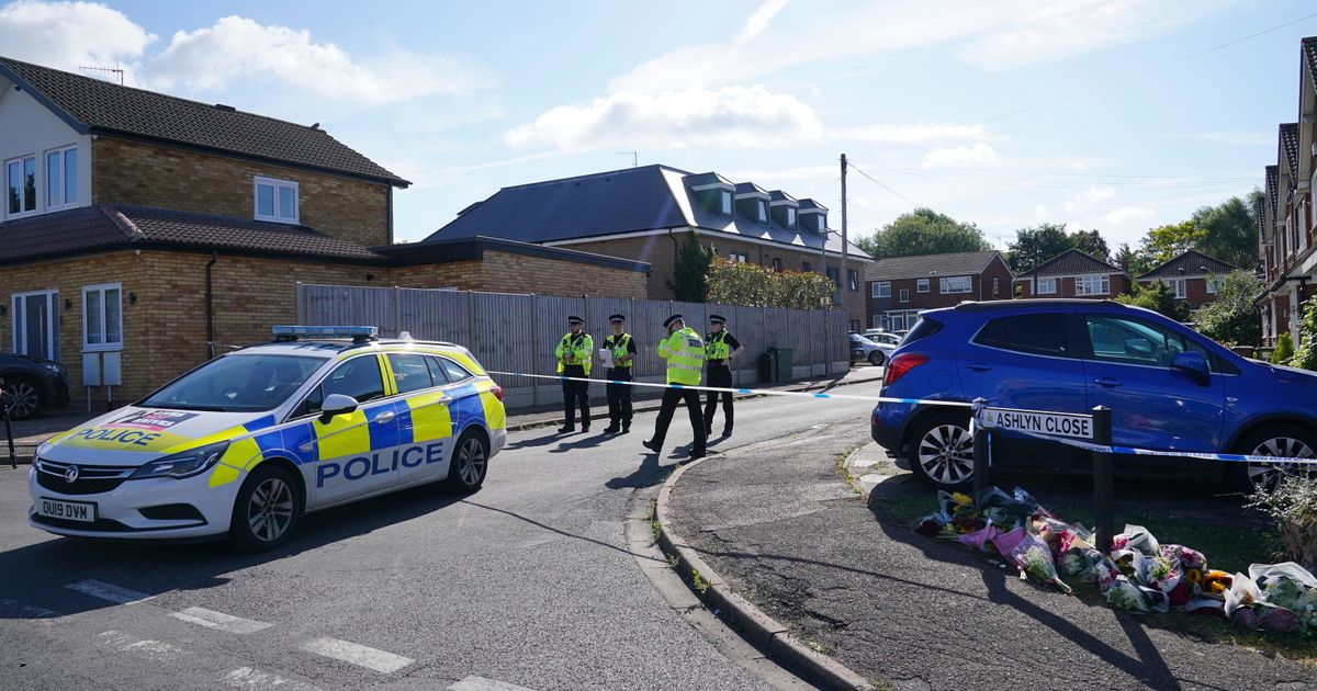 Pas izujedao bebu staru tri meseca nasmrt: Mama (31) s teškim povredama završila u bolnici