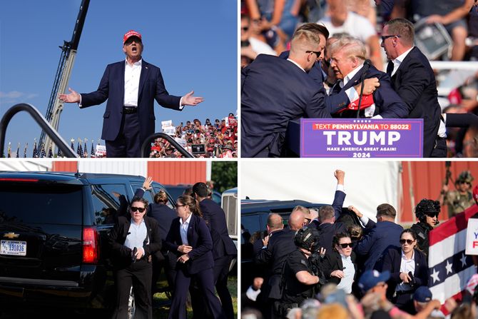 Donald Tramp blog Donald Tramp blog