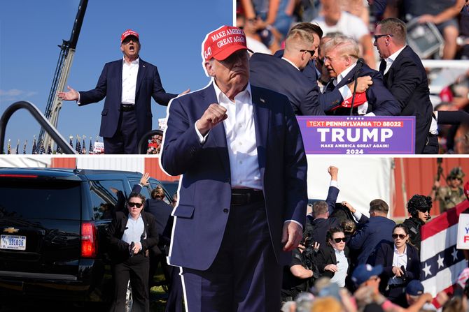 Donald Tramp blog Donald Tramp blog