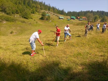 kosidba, kamena gora, prijepolje kosidba, kamena gora, prijepolje