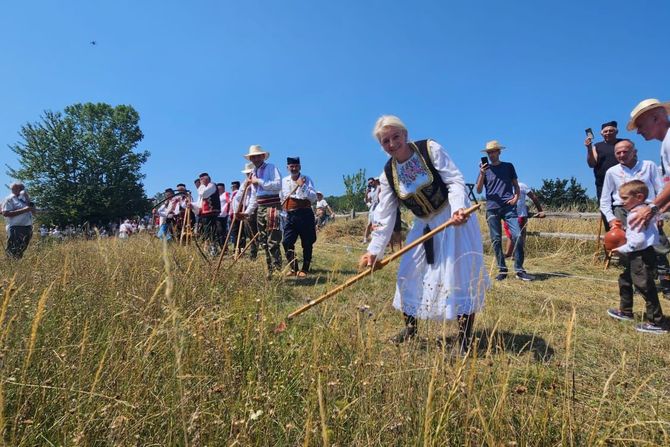 kosidba, rajac, kosački vimbldon, ljig