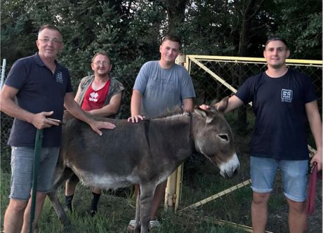 Magarica Brena i njen mužjak vraćeni na salaš