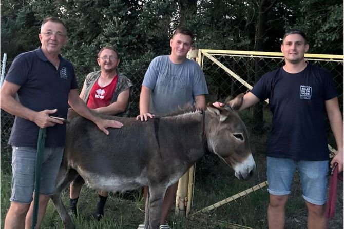 Magarica Brena i njen mužjak vraćeni na salaš