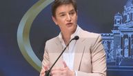 Brnabić: EU ima najviše ekološke standarde, možemo u parlamentu da napravimo poseban odbor