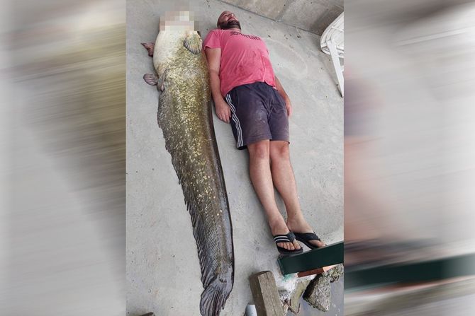 Dušan Babić, som Dušan Babić, som